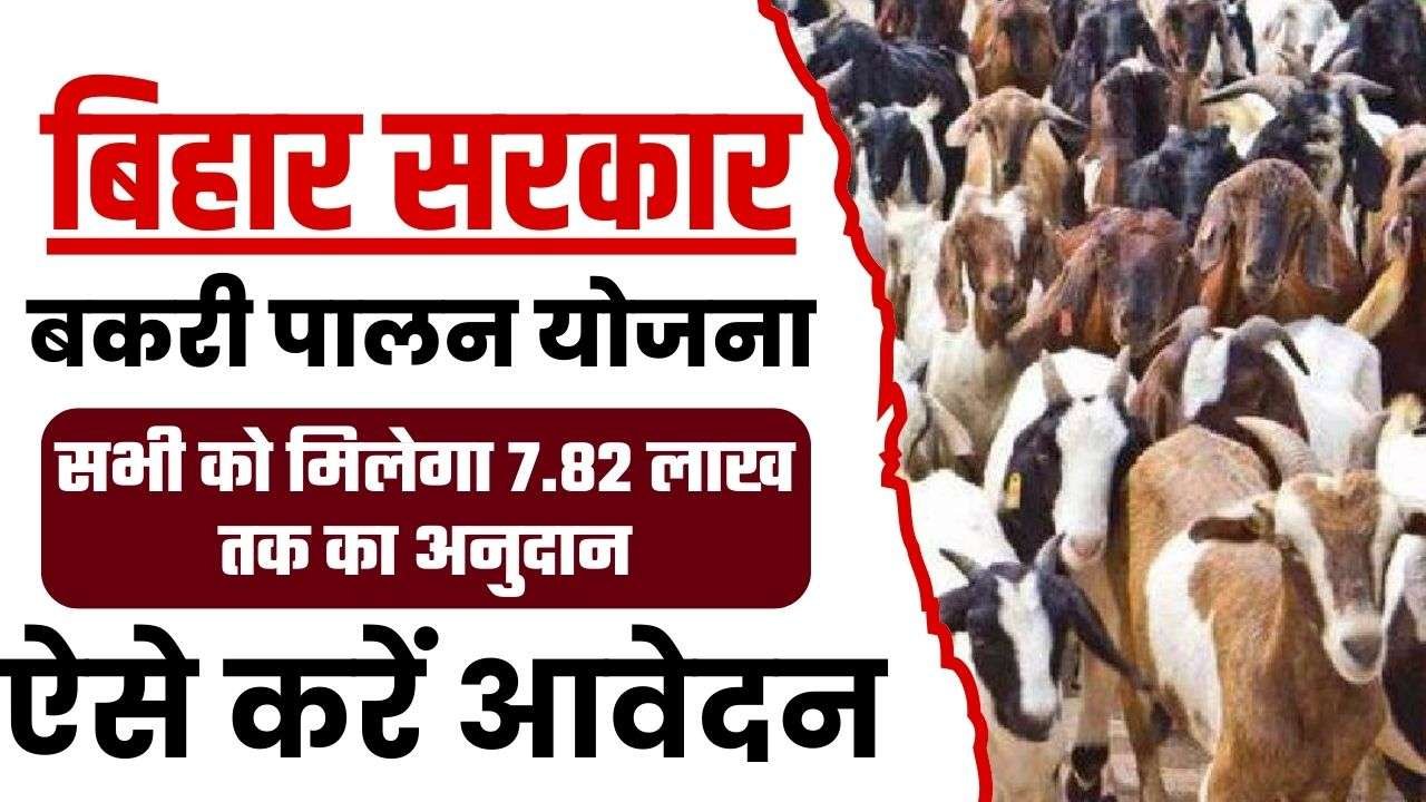 Bihar Bakri Palan Yojana 2024: बकरी फार्म खोलने के लिए सरकार देगी 7.82 लाख तक का अनुदान, जाने कैसे होगा आवेदन?